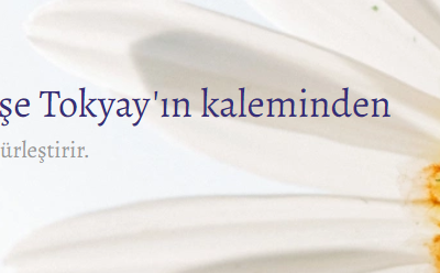 Menekşe Tokyay ile Söyleşi